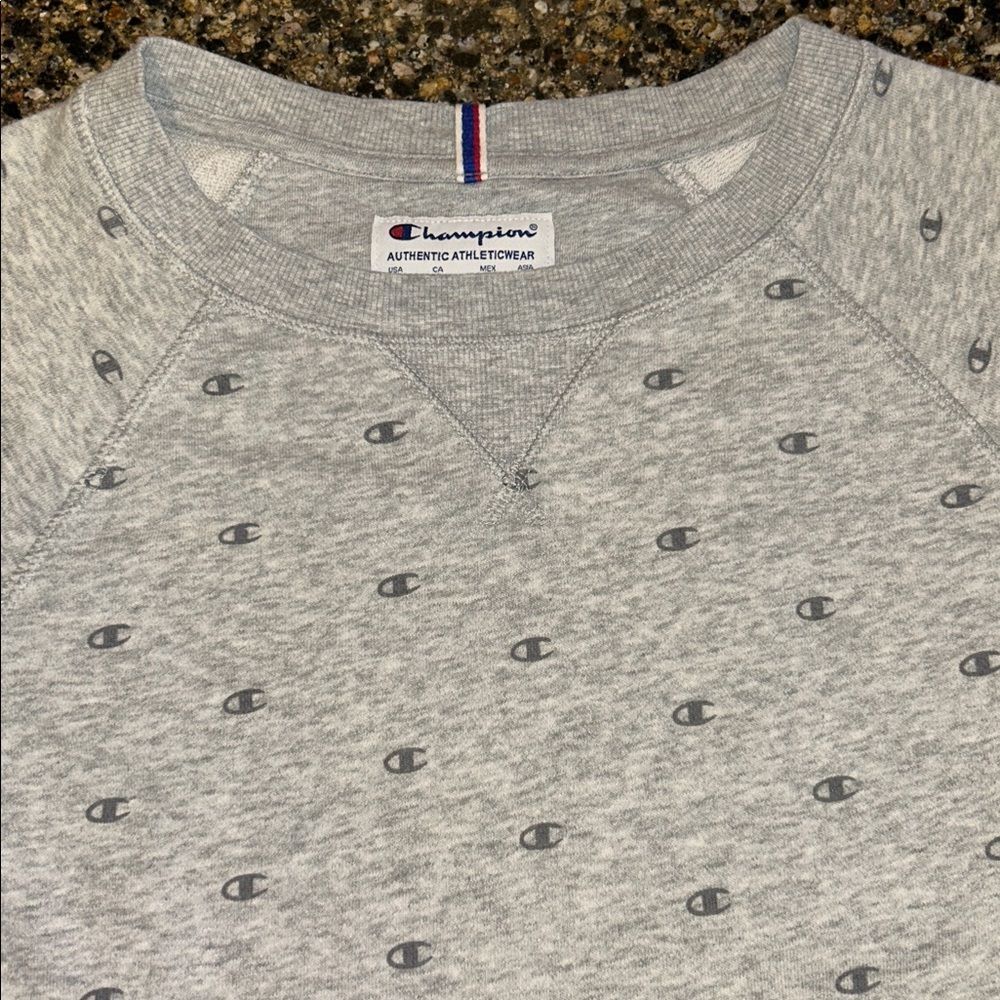 Champion Gray Signature Crewneck Sweatshirt - Picture 4 of 5